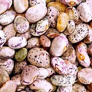 لوبیای درجه2 باران زده به قیمت 150 تومان