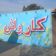 نیروی کارواش