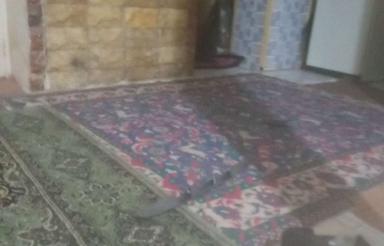 نیازمند همخونه موجه