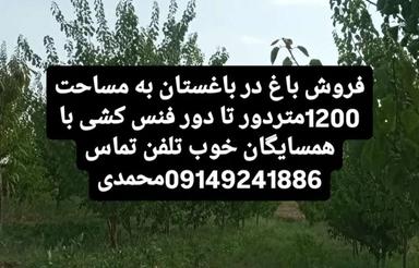 باغ در باغستان