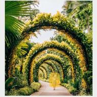 خدمات باغ ویلاو