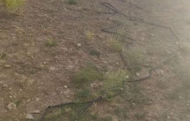 اجاره زمین کشاورزی