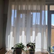 پرده حریر مدل پانچ