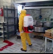 سمپاشی منازل وشرکت صددرصد تضمینی در همه جا