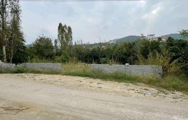 185 متری پروانه دار مرزیکلا