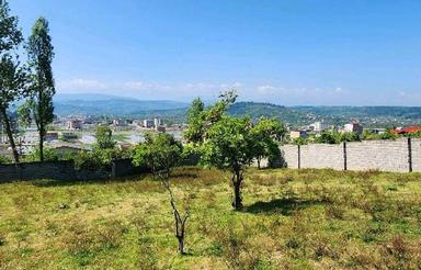 500متر/پروانه دار/مرزیکلا