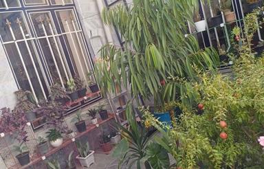 فروش فوری خانه خوش نقشه باحیات باصفا