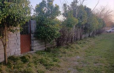 فروش باغ مرکبات/قابل ساخت