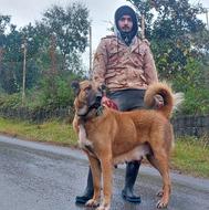 واگذاری ماده سرابی اصیل