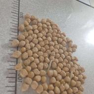 نخود بهاره درشت