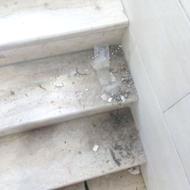 نظافت ساختمان وراه پله اداره هات باغها با نیرو های تجربه کار