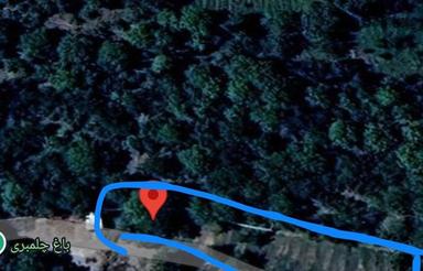 1000متر باغ گردو واقع در صادق آباد (زیر سد بالاخانلو )