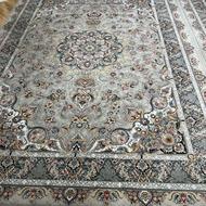 فرش پاتریس 700 شانه تراکم 2550 درجه یک ممتاز 9 متری