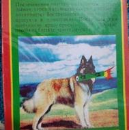 ترقه کبریتی