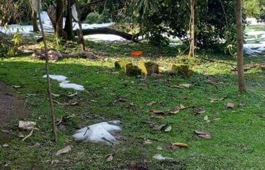 زمین مسکونی270متری با امتیازات در سپردان