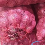 پیاز داریمبرتی فروش