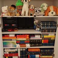 انجام تایپ امور تحصیلی