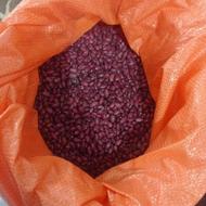 دو تن لوبیا قرمز تازه