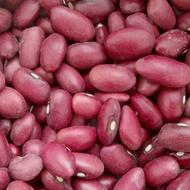 لوبیای قرمز بوجاری شده درشت وخوش پخت