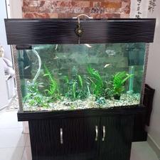 اکواریوم نو