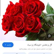 نظافتچی انجام می دم من هر کسی خواست