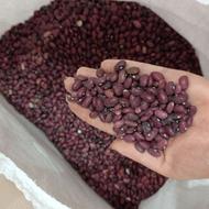 لوبیا قرمز محلی