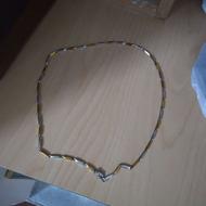 گردنی نیم متر و مچی