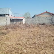 علف زنی حمیدروشن