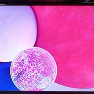 گوشی سامسونگ a13