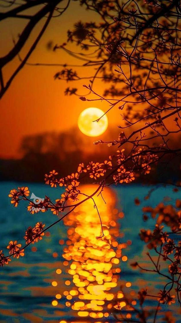 نگهبانی ساختمان.. - فریاد مریوانی