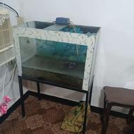 آکواریوم با پمپ ماهی