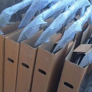 نقاش ماشین ماهر و نیمه ماهر نیازمندیم