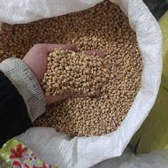 نخود ریز و شکسته تمیز