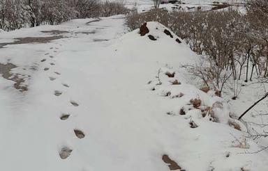 باغ زیبا و عالی