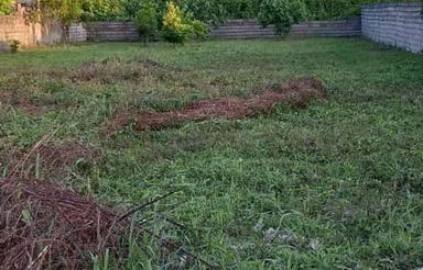 قطعه زمین مسکونی باسند تک برگ