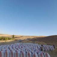 خریدار کاه گندم