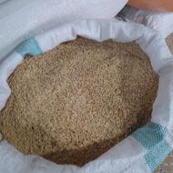 تخم جو اصلاح شده