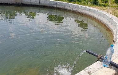 فروش یک هکتار باغ رسیده همراه خانه، استخروبرق