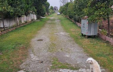 ولا شهرکی با نگهبانی