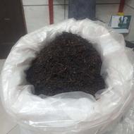 چای بهاره لاهیجان وعدس محلی