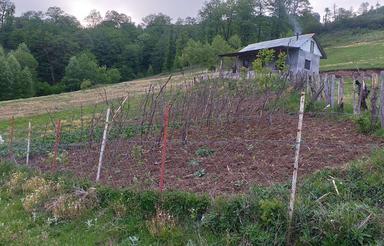 فروش زمین مسکونی 5000 متر