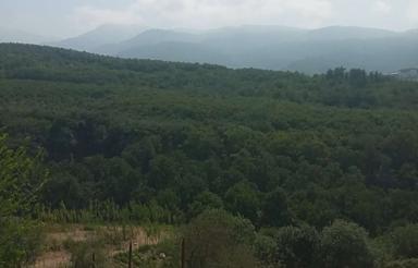 150 متر زمین چمه بن چلاو