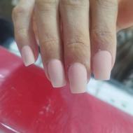 تخفیفات ولنتاین کاشت بزن