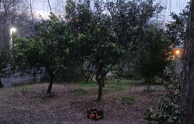 فروش ویلا 780 متر در شیردارکلا