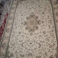 قالی سلیمان.تراکم بالا