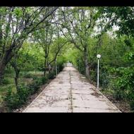 تعدادی آچار فروشی