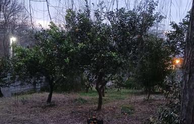 فروش ویلا 770 متر در شیردارکلا