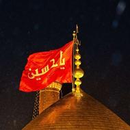 کاروان تور زیارتی کربلا،ویژه ماه رمضان و عید نوروز