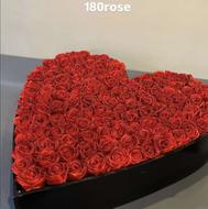 رز شاین دار