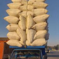 خرید فروش کاه گندم